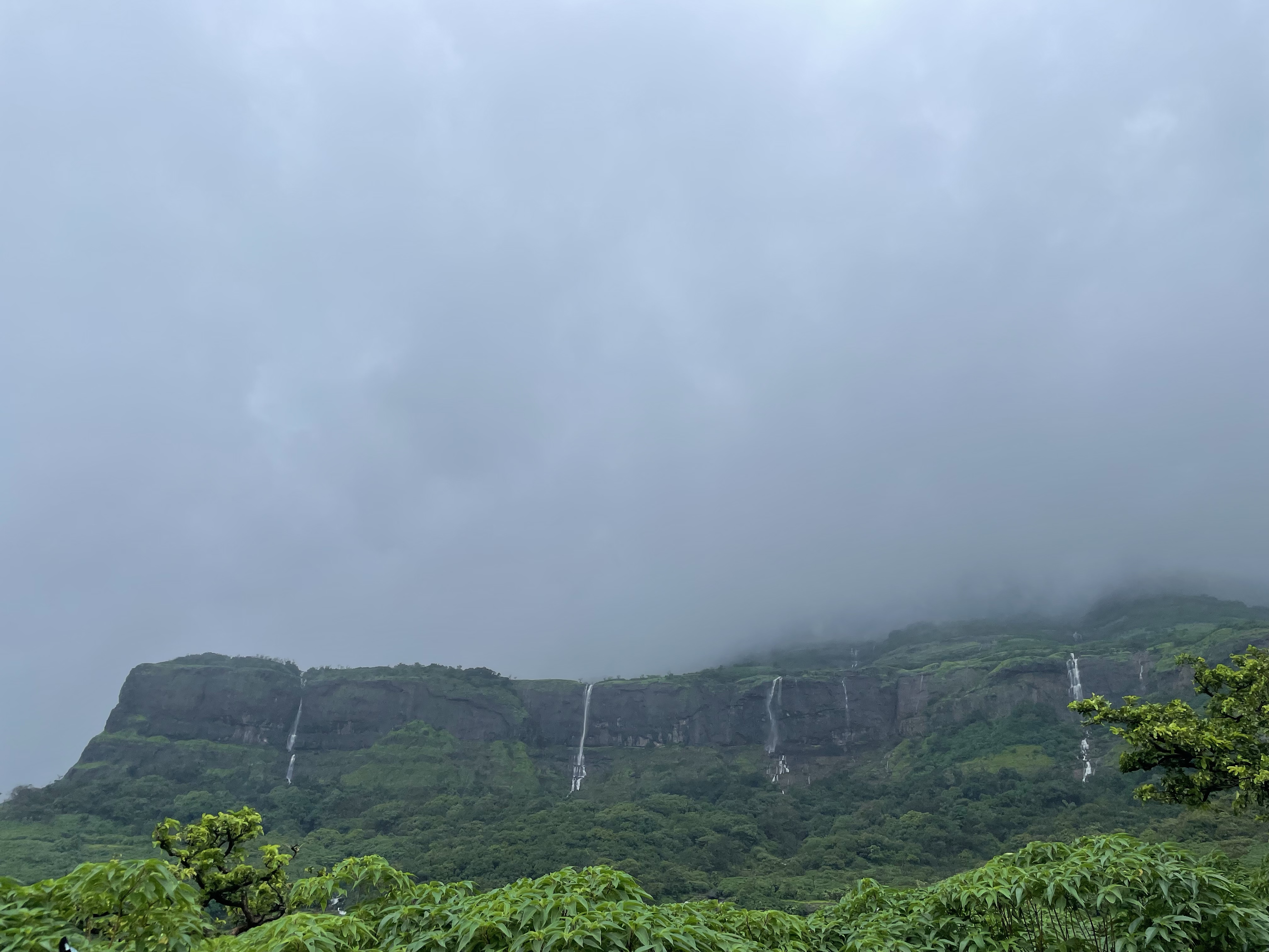 Aadrai Jungle Trek: Pristine Beauty of Sahyadri’s