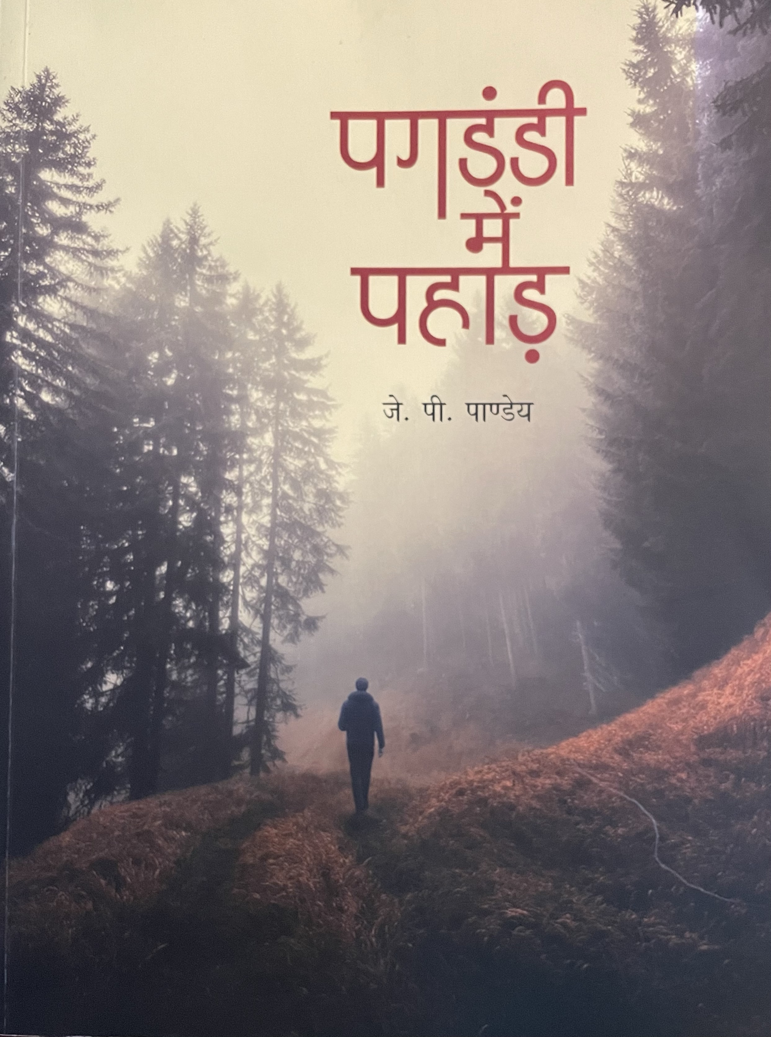 पगडंडीं मे पहाड़