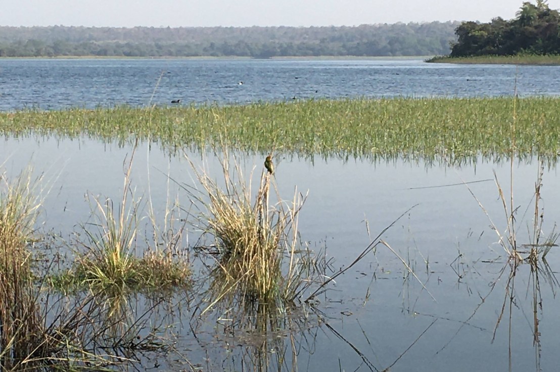 Gorewada Lake Jogging Trail: A Trail for Morning Walk and Bird Watching!